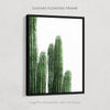 Cactus Collection Print