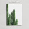 Cactus Collection Print