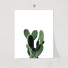 Cactus Collection Print