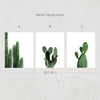 Cactus Collection Print