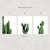 Cactus Collection Print