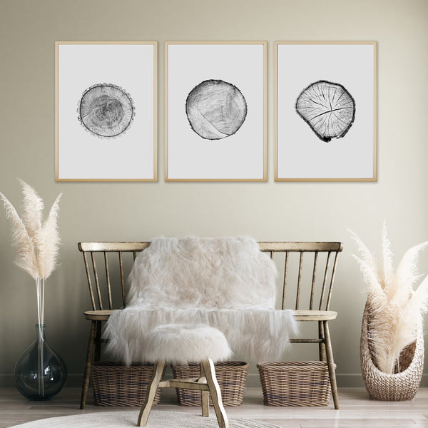 Cross Sections Print