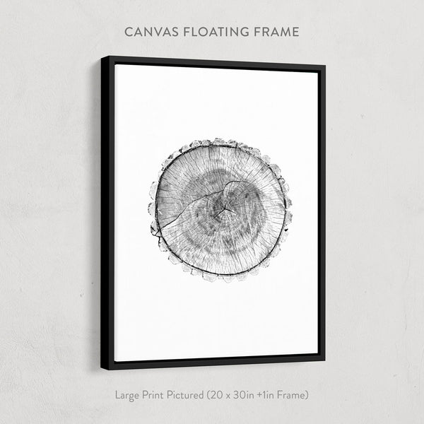 Cross Sections Print