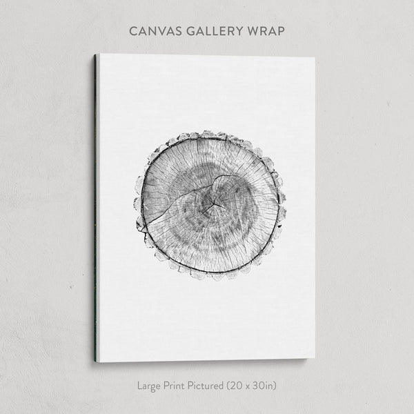 Cross Sections Print