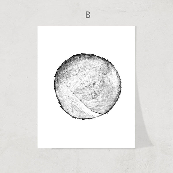 Cross Sections Print