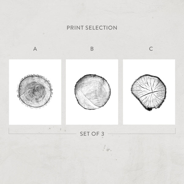 Cross Sections Print
