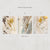 Liquid Gold Print Collection