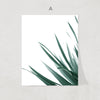 Nordic Pineapple Print