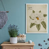 Vintage Botanicals Print