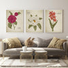 Vintage Botanicals Print