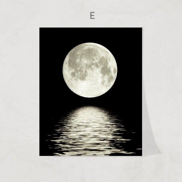 Moon Phase Print