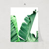 Nordic Jungle Print