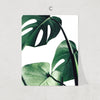 Nordic Jungle Print