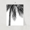 Nordic Tropic Print