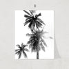Nordic Tropic Print