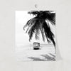 Nordic Tropic Print