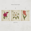 Vintage Botanicals Print