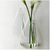 Wall-mounted Water Drop Shape Glass Vase
