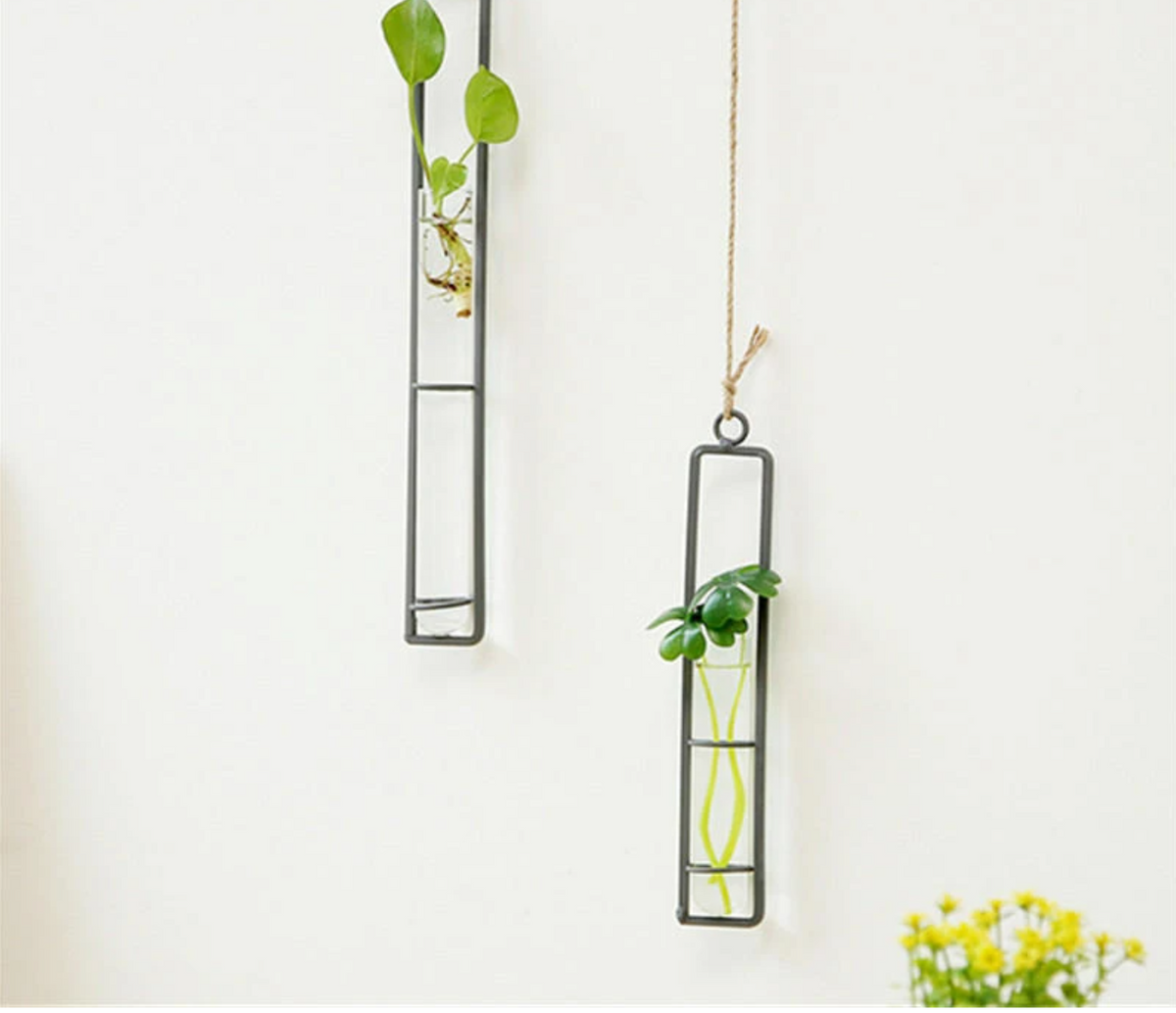 Creative Wall Hanging Plant Containers