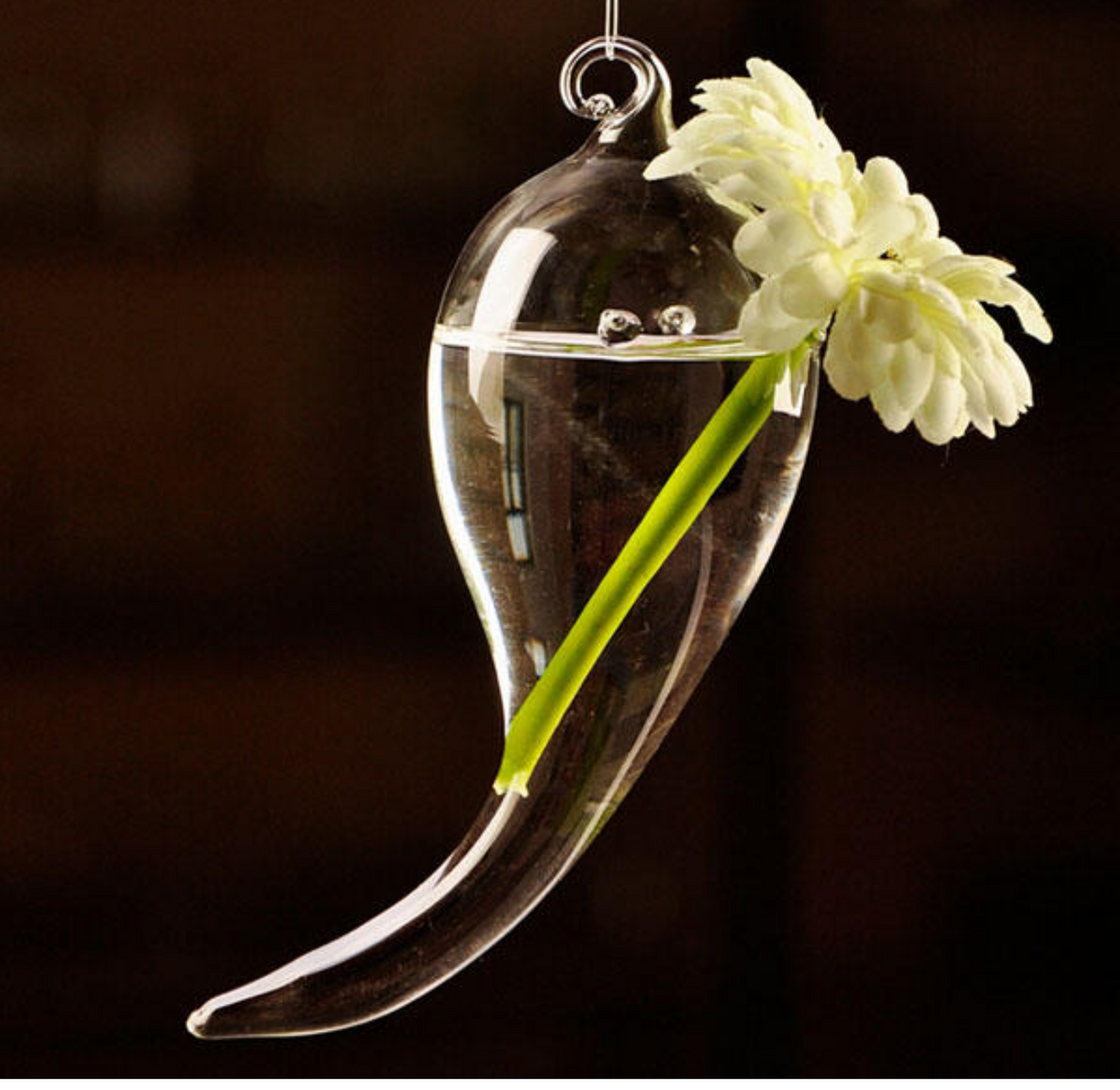 Hydroponic Plants Chilli Shaped Glass Vase
