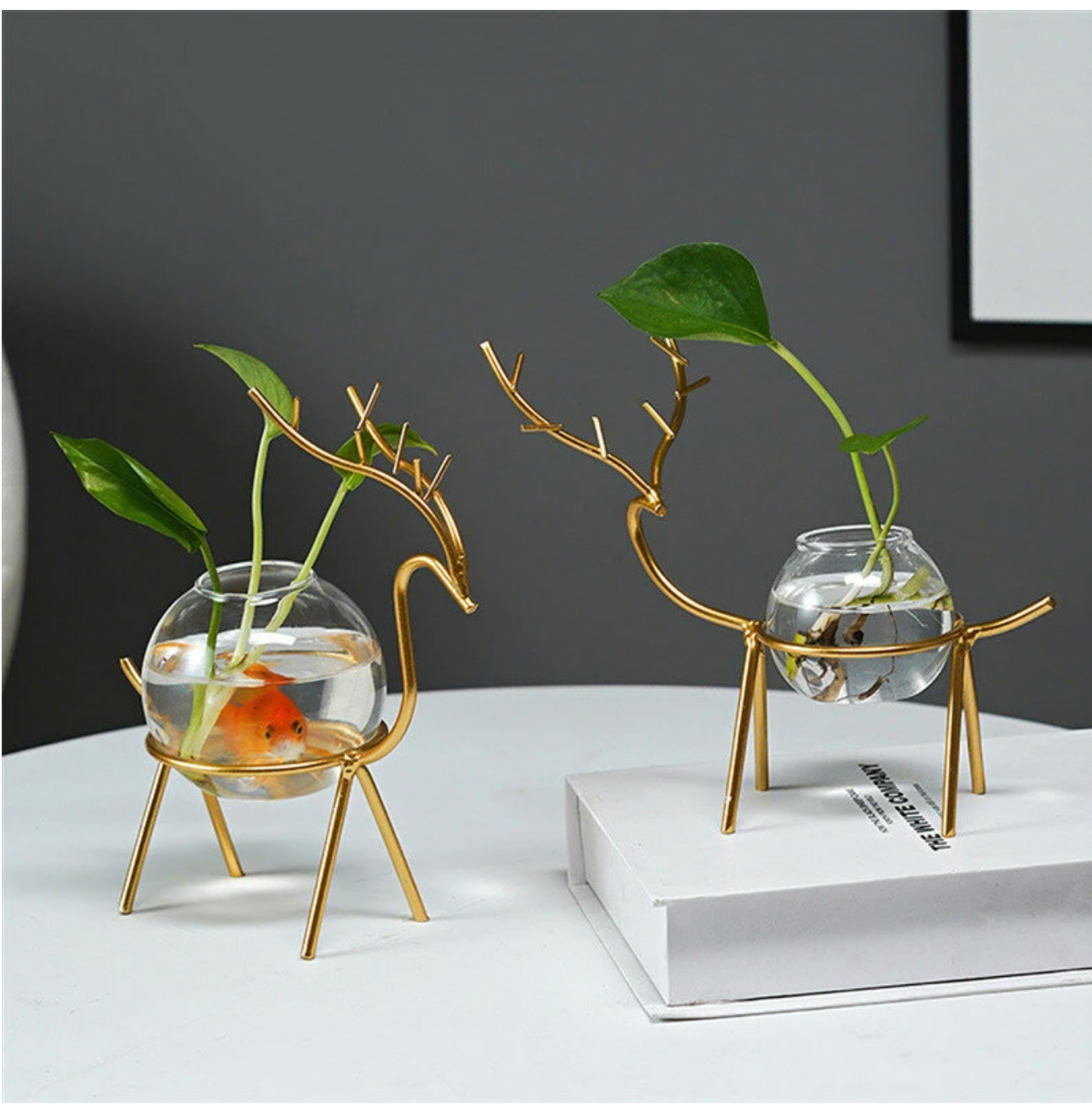 Desktop Hydroponic Vase