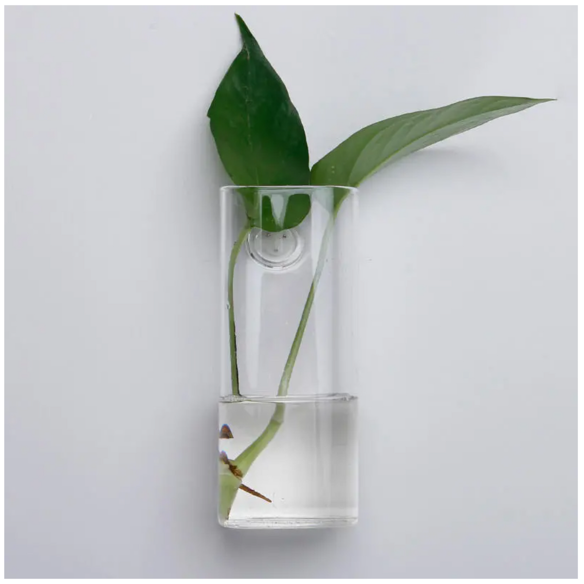 Wall-mounted Tube Shaped Glass Vase