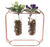 Glass Vase Flower Holder