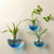 Creative Wall Mount Hydroponic Plant Vase
