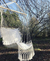 Ethnic Tassel Hammock
