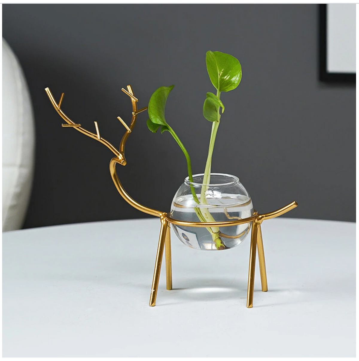 Desktop Hydroponic Vase