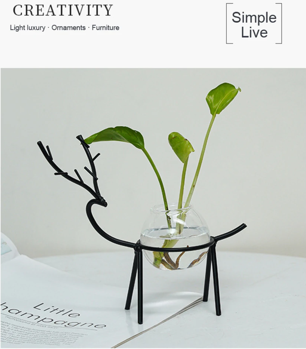 Desktop Hydroponic Vase