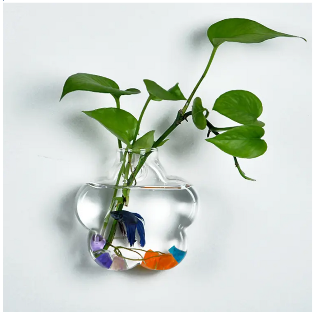 Wall-mounted Flower Shaped Glass Vase