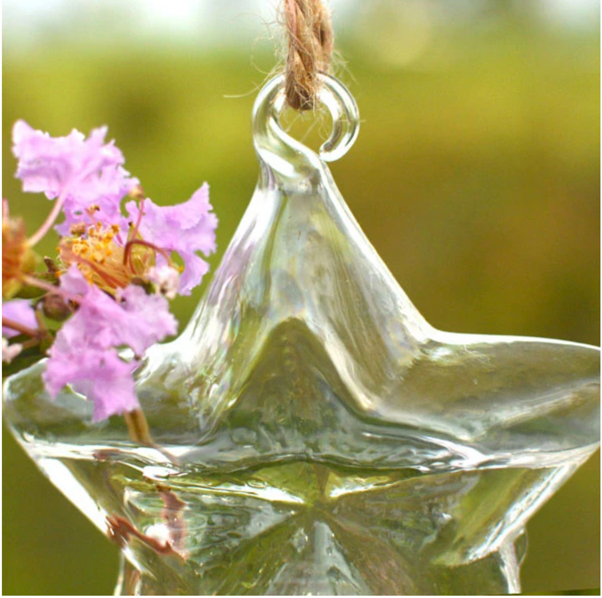 Lucky Star Shape Glass Vase