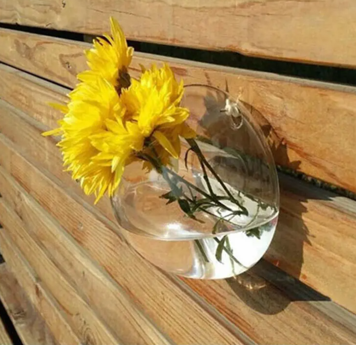 Creative Wall Mount Hydroponic Plant Vase