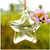 Lucky Star Shape Glass Vase