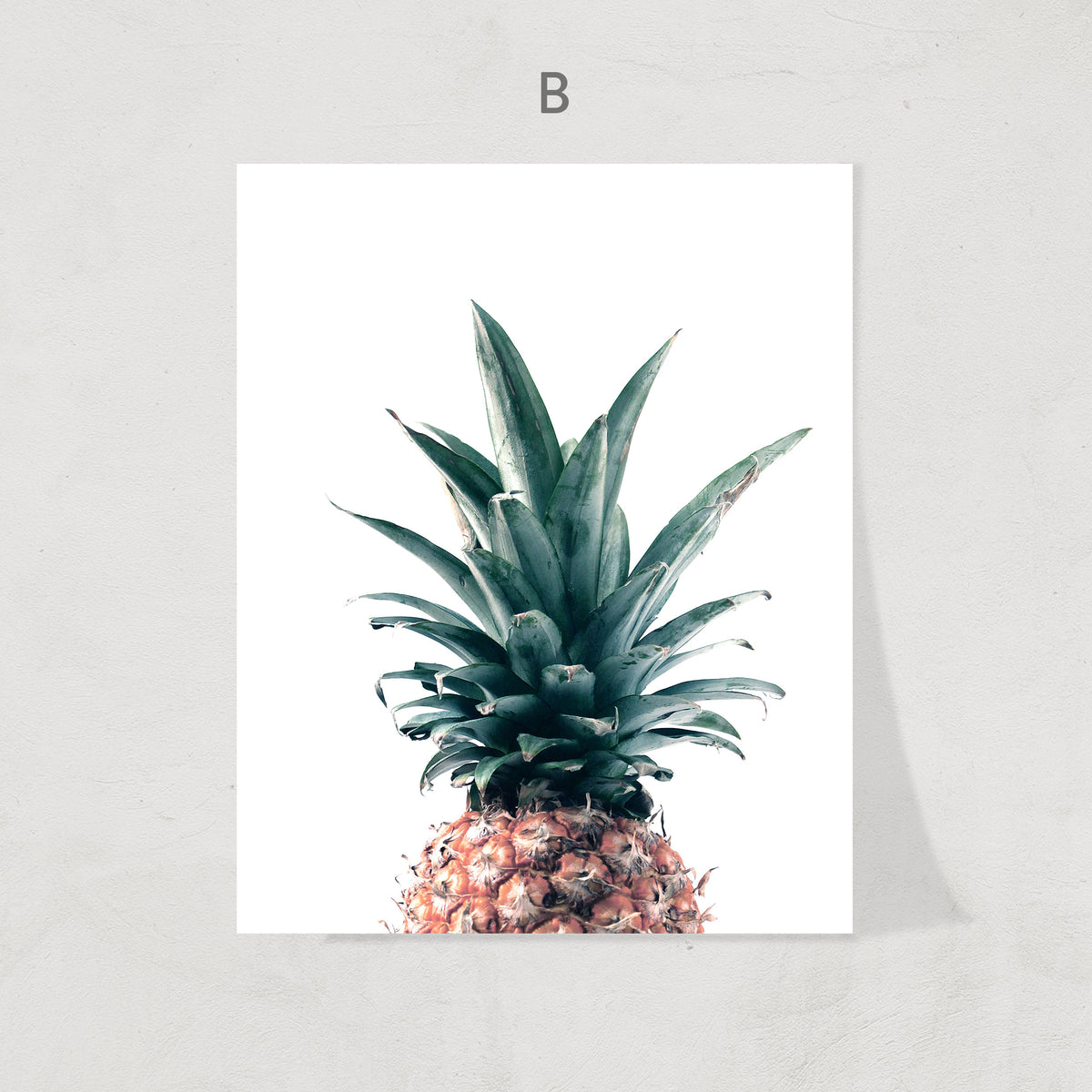Nordic Pineapple Print