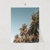 Vintage Cali Print