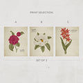 Vintage Botanicals Print